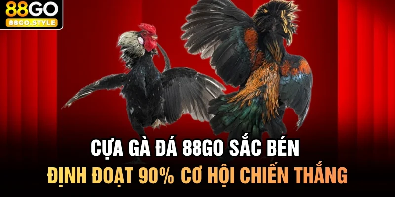 cựa gà đá