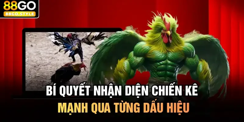 Bí quyết nhận diện chiến kê mạnh qua từng dấu hiệu