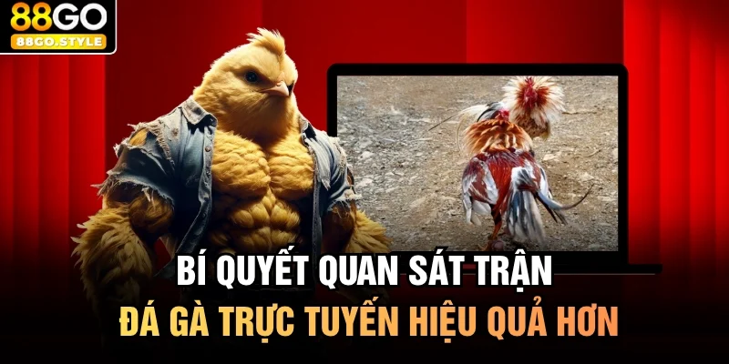 Bí quyết quan sát trận đá gà trực tuyến hiệu quả hơn