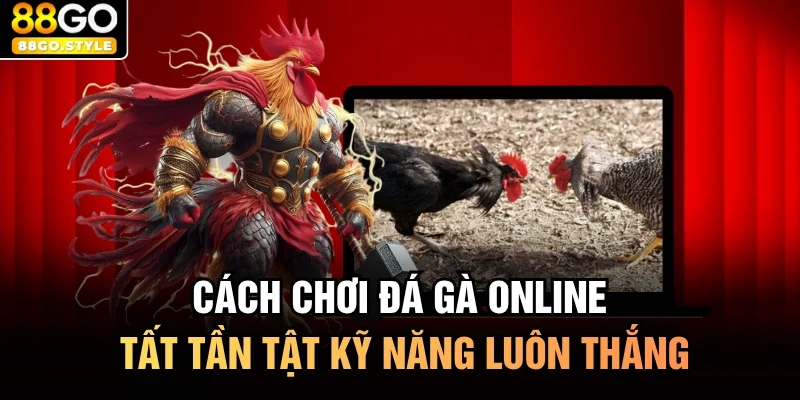 Cách Chơi Đá Gà Online Tất Tần Tật Kỹ Năng Luôn Thắng