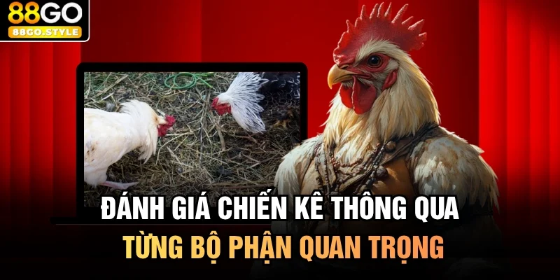 Đánh giá chiến kê thông qua từng bộ phận quan trọng