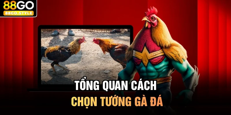 Tổng quan cách chọn tướng gà đá